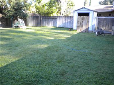 3437 M St, Merced, CA 95348 photo 6
