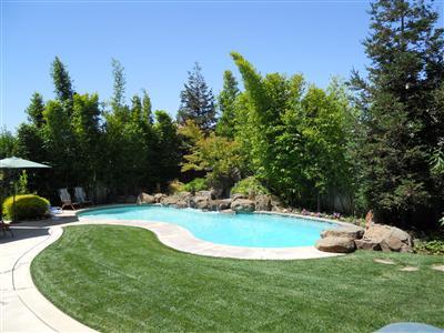 2919 Bellows Ct, Davis, CA 95618 photo 20