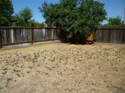 4947 E Morse Rd, Lodi, CA 95240 photo 9