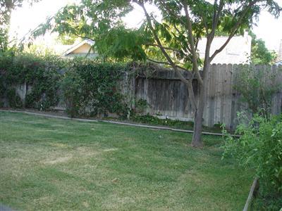 2919 Coho Pl, Davis, CA 95616 photo 12