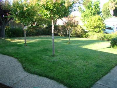 134 Perraud Dr, Folsom, CA 95630 photo 5