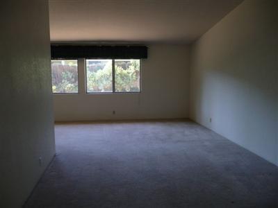 710 Nancy Dr, Ripon, CA 95366 photo 4
