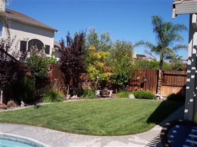 425 W Shasta Ave, Ripon, CA 95366 photo 13