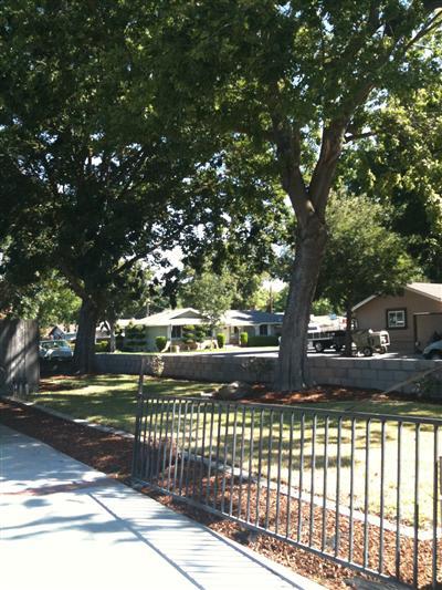 1509 Robbie Ave, Modesto, CA 95350 photo 10
