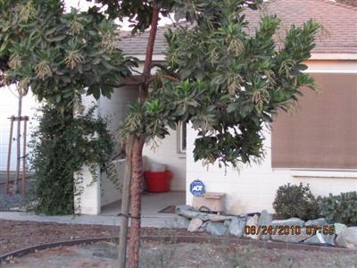 1828 Grimes Ave, Modesto, CA 95358 photo 2