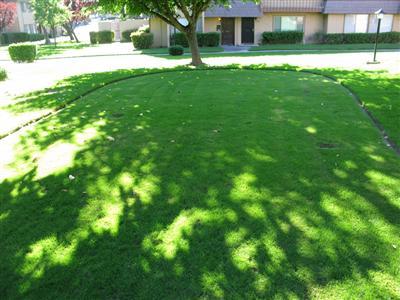 6126 Via Casitas, Carmichael, CA 95608 photo 7