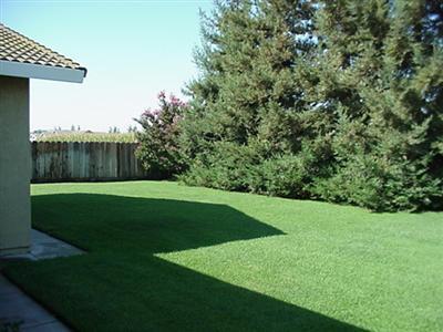 8067 Winfield Dr, Hilmar, CA 95324 photo 7