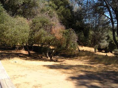 3280 Sand Ridge Rd, Placerville, CA 95667 photo 9