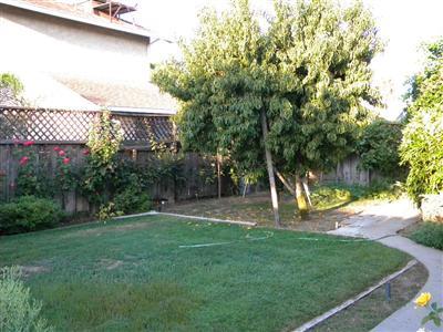 1102 Wickel St, Turlock, CA 95382 photo 6