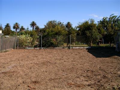 101 Weber Ave, Patterson, CA 95363 photo 17