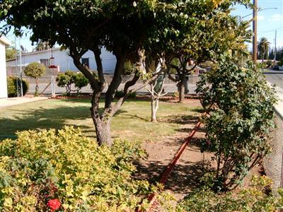 101 Weber Ave, Patterson, CA 95363 photo 2