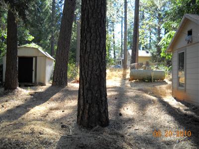 3338 Blossom Hill Rd, Placerville, CA 95667 photo 14