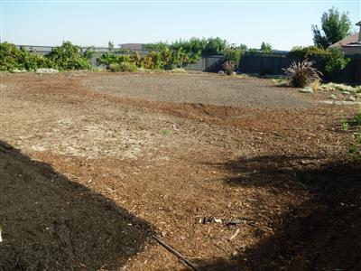 2504 Redbridge Rd, Tracy, CA 95377 photo 10