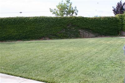 10451 Danichris Way, Elk Grove, CA 95757 photo 15