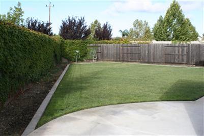 10451 Danichris Way, Elk Grove, CA 95757 photo 13