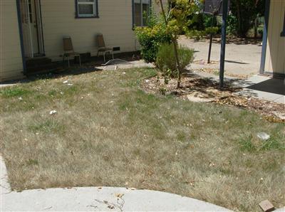 525 Pinedale Ave, Sacramento, CA 95838 photo 6