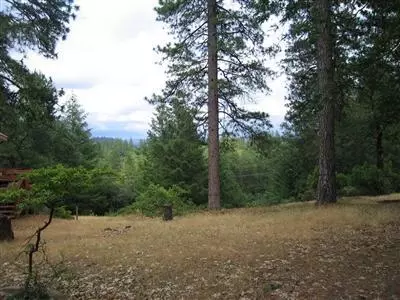 1460 E Weimar Cross Rd, Colfax, CA 95713 photo 1