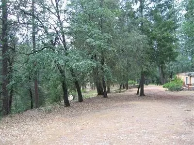 1460 E Weimar Cross Rd, Colfax, CA 95713 photo 3