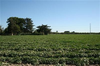 2900 E Redwood Rd, Ceres, CA 95307 photo 7
