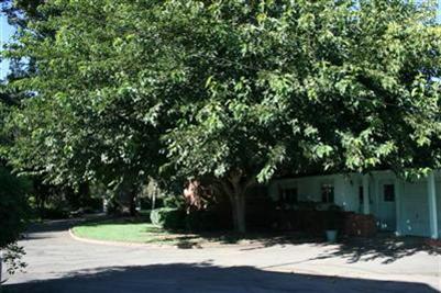 2900 E Redwood Rd, Ceres, CA 95307 photo 5