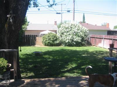 131 S Corinth Ave, Lodi, CA 95242 photo 8