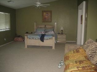 1540 Autumn Meadow Ln, Tracy, CA 95376 photo 7