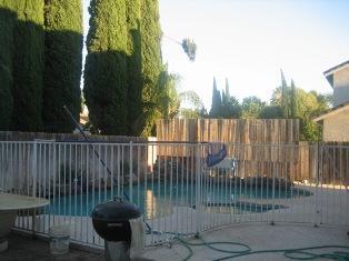 1540 Autumn Meadow Ln, Tracy, CA 95376 photo 14