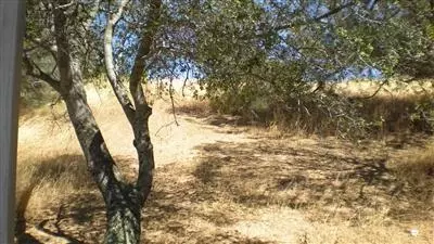 2391 Arrowhead, Copperopolis, CA 95228 photo 11