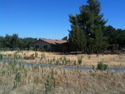 30588 E Hall Rd, Escalon, CA 95320 photo 1