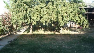 401 Locust St, Turlock, CA 95380 photo 10