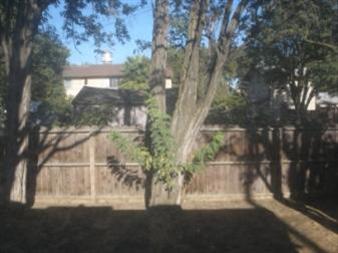 930 E St, Tracy, CA 95376 photo 4