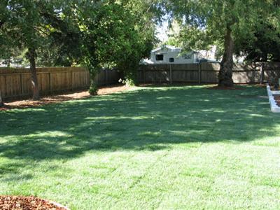 3521 California Ave, Carmichael, CA 95608 photo 24
