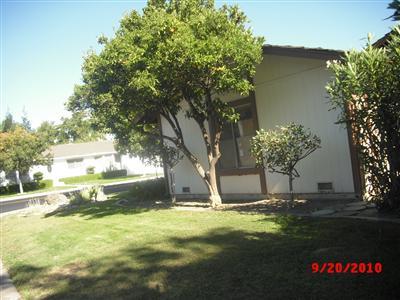 3425 Dragoo Park Dr, Modesto, CA 95350 photo 4