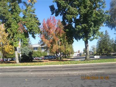 3068 Andre Ln, Turlock, CA 95382 photo 17
