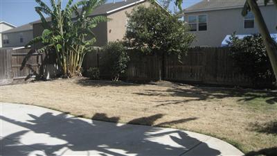 1174 Crescent Dr, Merced, CA 95348 photo 4