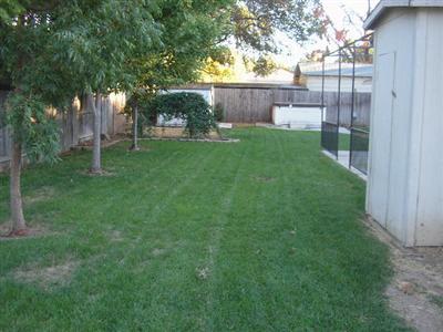 3132 Garfield Ave, Carmichael, CA 95608 photo 9