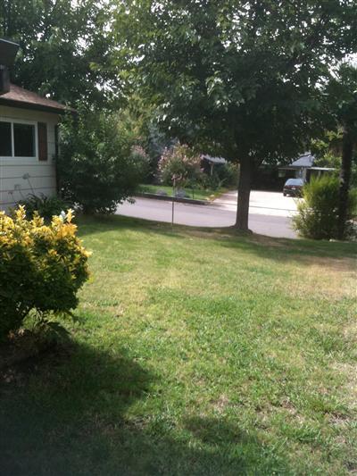 5503 Brooks Ave, Loomis, CA 95650 photo 6