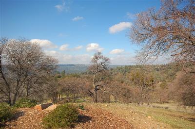 6335 Horizon Dr, Placerville, CA 95667 photo 14