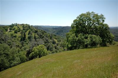 6335 Horizon Dr, Placerville, CA 95667 photo 13