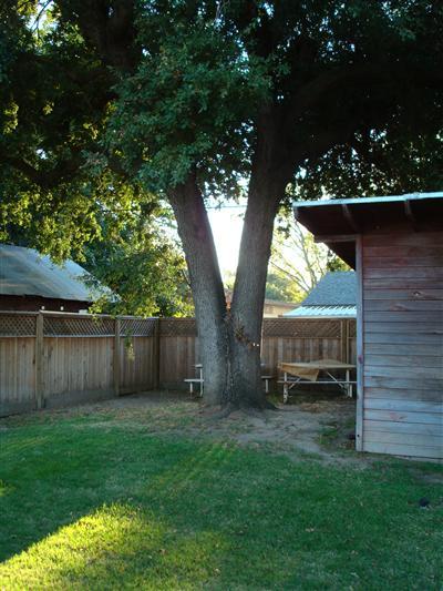 1341 Wilson Ave, Tracy, CA 95376 photo 12