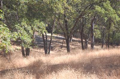 344 Cheryl Ln, Applegate, CA 95703 photo 4