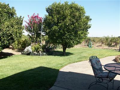 16444 Tecklenburg, Lodi, CA 95240 photo 24