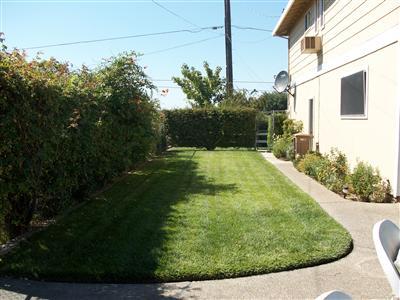 16444 Tecklenburg, Lodi, CA 95240 photo 21
