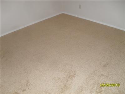3301 Chaulet Ln, Ceres, CA 95307 photo 9