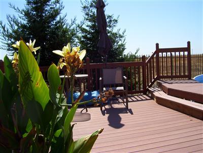 10778 Westerly Dr, Mather, CA 95655 photo 17