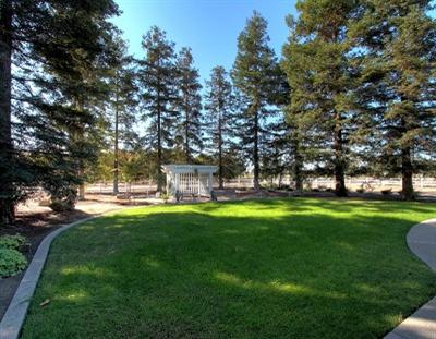 3231 E Hawkeye Ave, Turlock, CA 95380 photo 7