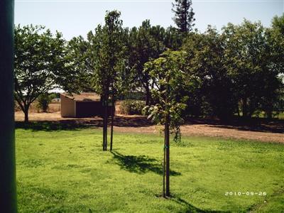 21242 E Copperopolis Rd, Linden, CA 95236 photo 21