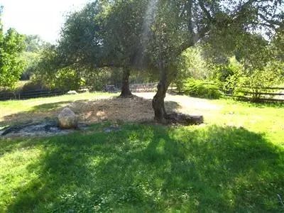 6453 Barton Rd, Loomis, CA 95650 photo 20