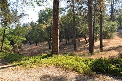 4635 Sand Ridge Rd, Placerville, CA 95667 photo 6