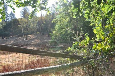 4635 Sand Ridge Rd, Placerville, CA 95667 photo 4
